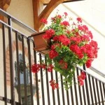 b&b_da_rosario_img12
